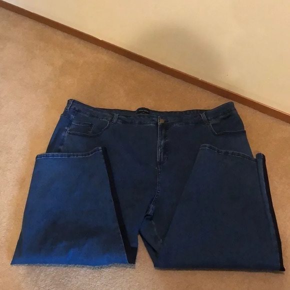 NWOT Universal standard Ravi/Color block jeans - Picture 2 of 9
